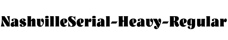 NashvilleSerial-Heavy-Regular font preview