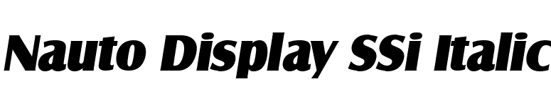Nauto Display SSi Italic font preview