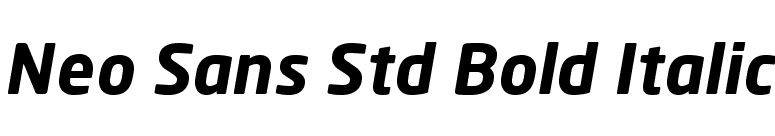 Neo Sans Std Bold Italic font preview