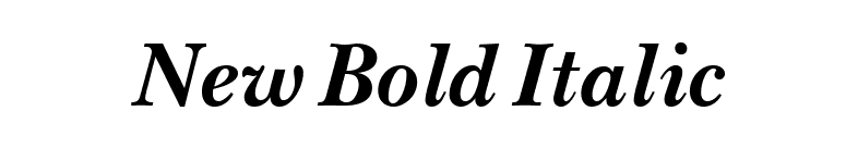 New Bold Italic font preview
