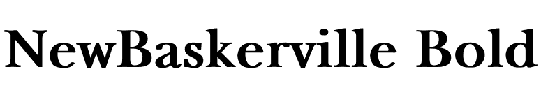 NewBaskerville Bold font preview