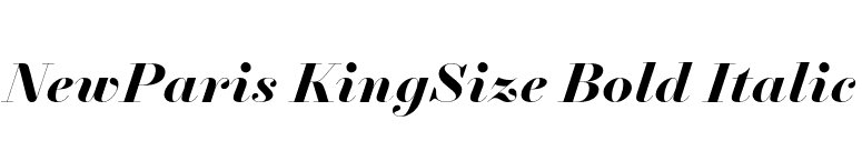 NewParis KingSize Bold Italic font preview