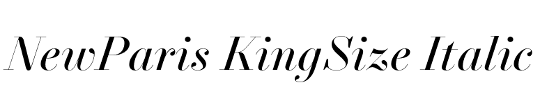 NewParis KingSize Italic font preview