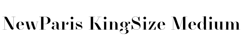 NewParis KingSize Medium font preview