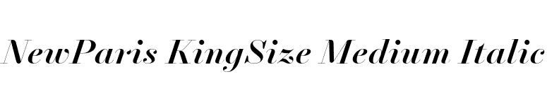 NewParis KingSize Medium Italic font preview