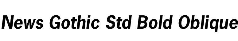 News Gothic Std Bold Oblique font preview