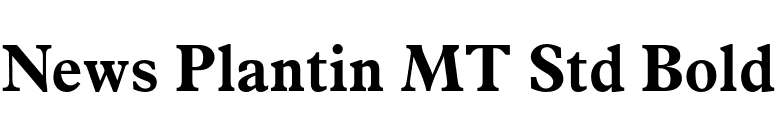 News Plantin MT Std Bold font preview