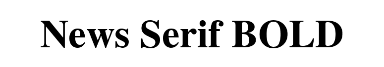 News Serif BOLD font preview