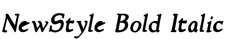 NewStyle Bold Italic font preview