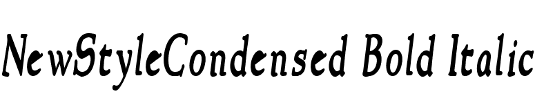 NewStyleCondensed Bold Italic font preview