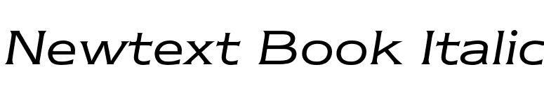 Newtext Book Italic font preview