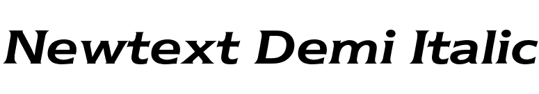 Newtext Demi Italic font preview