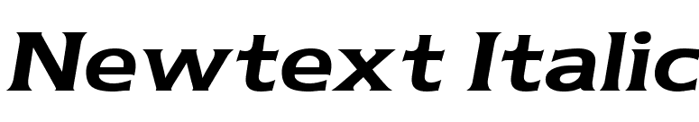 Newtext Italic font preview