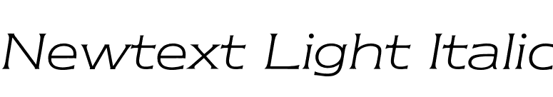 Newtext Light Italic font preview