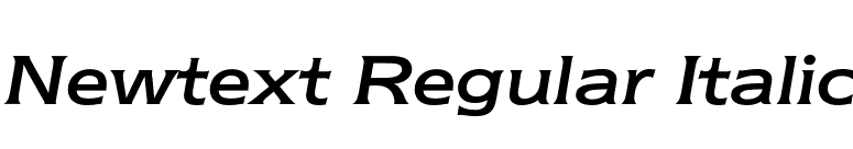 Newtext Regular Italic font preview