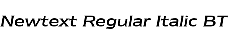 Newtext Regular Italic BT font preview