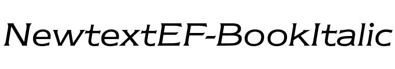 NewtextEF-BookItalic font preview