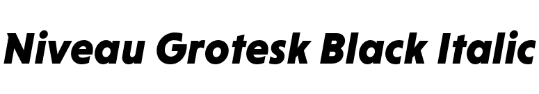 Niveau Grotesk Black Italic font preview