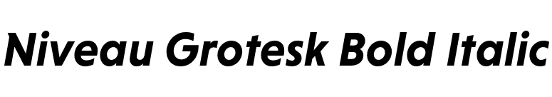 Niveau Grotesk Bold Italic font preview