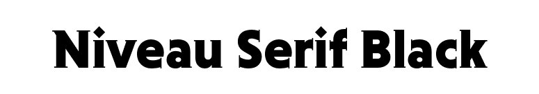 Niveau Serif Black font preview