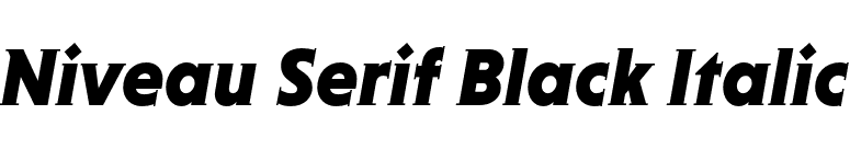 Niveau Serif Black Italic font preview