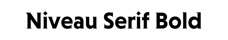 Niveau Serif Bold font preview