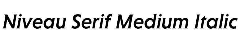 Niveau Serif Medium Italic font preview