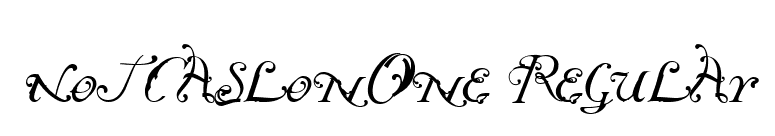 NotCaslonOne Regular font preview