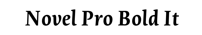 Novel Pro Bold It font preview