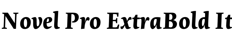 Novel Pro ExtraBold It font preview