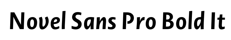 Novel Sans Pro Bold It font preview