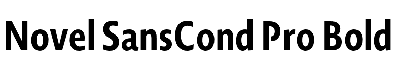 Novel SansCond Pro Bold font preview
