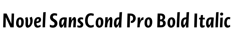 Novel SansCond Pro Bold Italic font preview