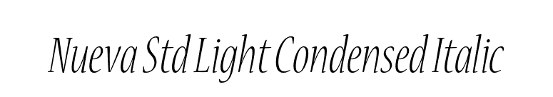 Nueva Std Light Condensed Italic font preview