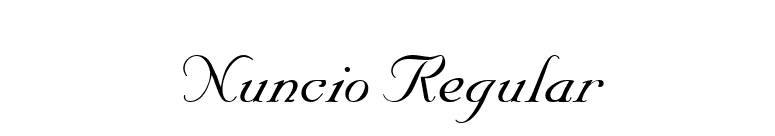 Nuncio Regular font preview