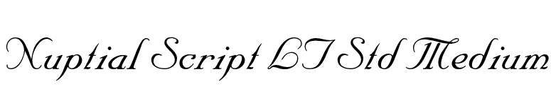 Nuptial Script LT Std Medium font preview