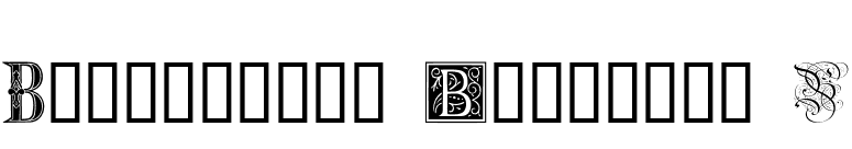 Ornamental Initials B font preview