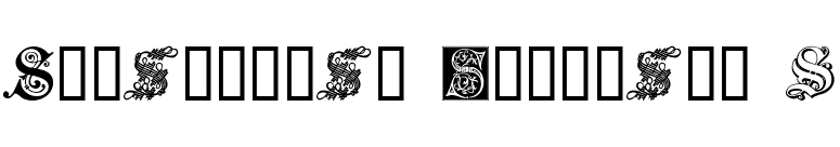 Ornamental Initials S font preview