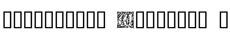 Ornamental Initials W font preview