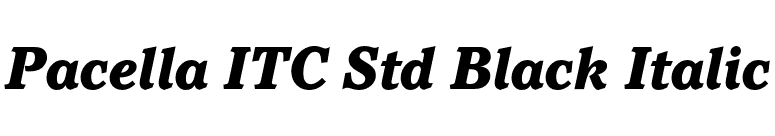 Pacella ITC Std Black Italic font preview