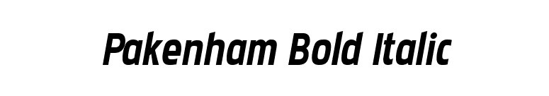 Pakenham Bold Italic font preview