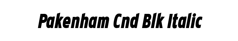 Pakenham Cnd Blk Italic font preview