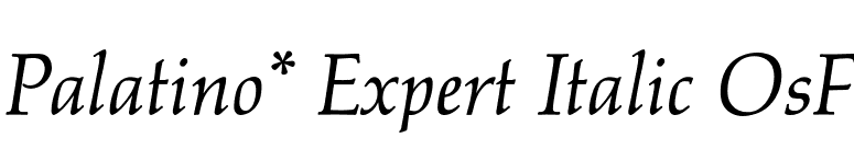 Palatino* Expert Italic OsF font preview