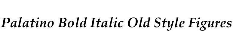 Palatino Bold Italic Old Style Figures font preview