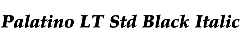Palatino LT Std Black Italic font preview