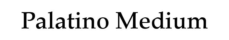 Palatino Medium font preview