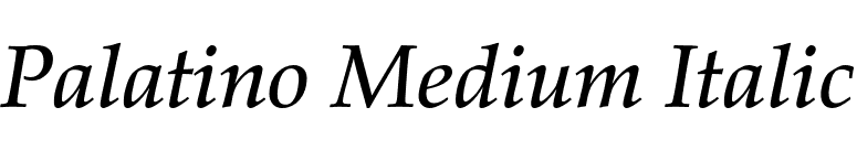 Palatino Medium Italic font preview