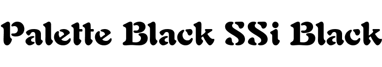 Palette Black SSi Black font preview