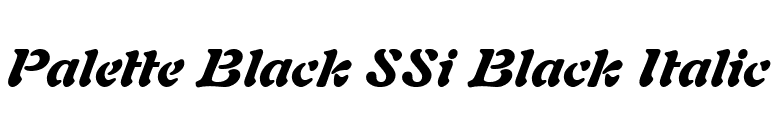 Palette Black SSi Black Italic font preview
