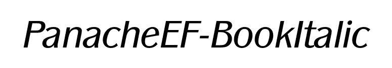 PanacheEF-BookItalic font preview